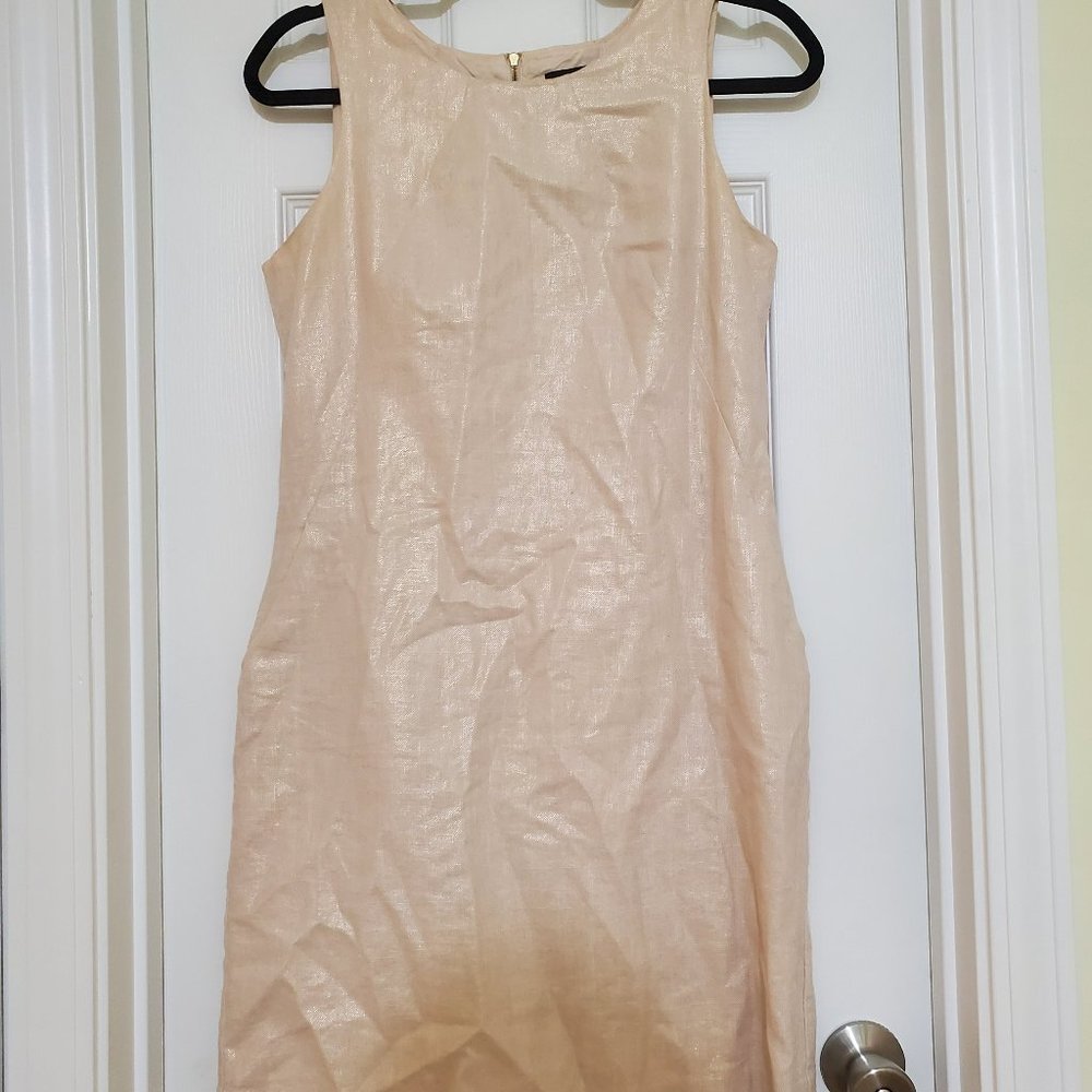 Ivory Metallic Fitted Shift Dress with Pockets! | Willi Smith, Size 4